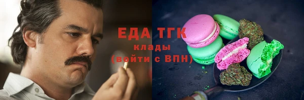 индика Верхний Тагил